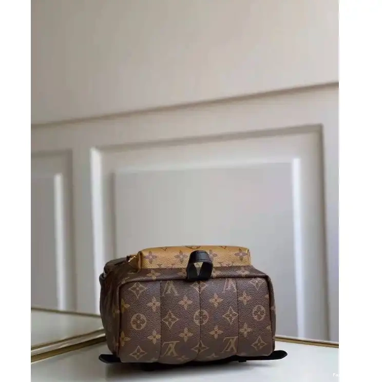 Fashionreps Bags 20B570188 LV 0704